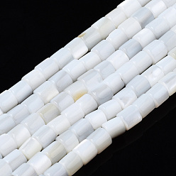 Freshwater Shell Natural Freshwater Shell Beads Strands, Column, 3x3mm, Hole: 0.9mm, about 135~139pcs/strand, 15.04 inch~15.55 inch(38.2~39.5cm)