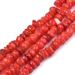 Tomato Natural Trochid Shell/Trochus Shell Beads Strands, Dyed, Flat Round, Tomato, 5~10x1~7mm, Hole: 1mm, about 94pcs/strand, 14.96''(38cm)