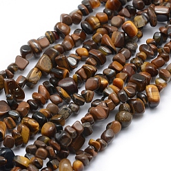 Tiger Eye Natural Tiger Eye Beads Strands, Chip, 5~8mm, Hole: 1mm, about 33 inch(84cm)