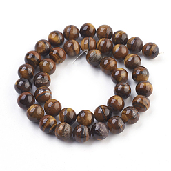 Tiger Iron Natural Tiger Iron Bead Strands, Round, 4mm, Hole: 1mm, about 98pcs/strand, 15.7 inch