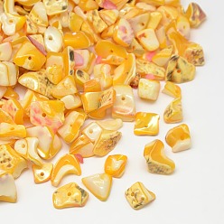Naranja Cuentas de chips de concha de agua dulce naturales, fragmentos de concha, naranja, 9~12x6~15 mm, Agujero: 1 mm, sobre 900 unidades / 500 g