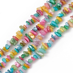 Freshwater Shell Dyed Natural Freshwater Shell Beads Strands, Chip, Colorful, 5~9x3~6x1~4mm, Hole: 0.9mm, about 273~292pcs/strand, 11.42~11.61 inch(29~29.5cm)
