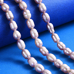 Rosy Brown Natural Cultured Freshwater Pearl Beads Strands, Rice, Rosy Brown, 7~13x7~8mm, Hole: 0.8mm, about 32~40pcs/strand, 12.99 inch