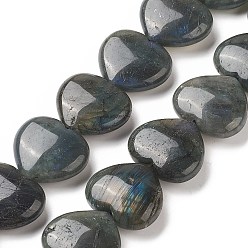 Labradorite Natural Labradorite Beads Strands, Heart, 24~26x28~28.5x9~12mm, Hole: 1.5mm, about 15pcs/strand, 15.04~15.55 inch(38.2~39.5cm)
