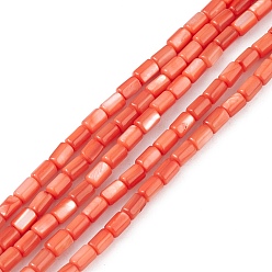 Orange Red Natural Freshwater Shell Dyed Beads Strands, Column, Orange Red, 4.8x3mm, Hole: 0.8mm, about 78pcs/strand, 14.96''(38cm)