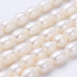 Seashell Color Natural Cultured Freshwater Pearl Beads Strands, Oval, Seashell Color, 11~13x9~10mm, Hole: about 0.5mm, about 30pcs/strand, 13.8 inch