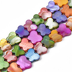 Colorful Dyed Natural Freshwater Shell Beads Strands, AB Color Plated, Butterfly, Colorful, 8~9x10~12x3mm, Hole: 0.6mm, about 51pcs/strand, 14.76 inch~15.35 inch(37.5cm~39cm)