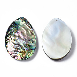 Paua Shell Natural Abalone Shell/Paua Shell Pendants, with Freshwater Shell, Teardrop, 42.5~48x26.5~30.5x6.5~8mm, Hole: 1.4mm