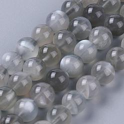 Grey Moonstone Brins de perles de pierre de lune grise naturelle, ronde, 4mm, Trou: 0.4mm, Environ 98~100 pcs/chapelet, 15.7 pouce (40 cm)