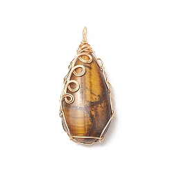 Tiger Eye Natural Tiger Eye Copper Wire Wrapped Pendants, Teardrop Charms, Golden, 36x17x8mm, Hole: 3x2mm