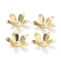 Real 24K Gold Plated Brass Bead Cap, Long-Lasting Plated, 5-Petal Flower, Real 24K Gold Plated, 14x3mm, Hole: 1.5mm