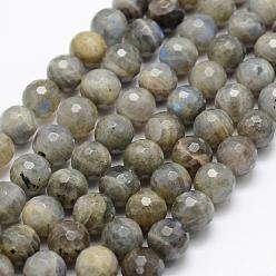 Labradorite Chapelets de perles labradorite naturelle , a- année, facette, ronde, 6mm, Trou: 1mm, Environ 66 pcs/chapelet, 15.1 pouce (38.5 cm)