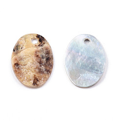 Coquille Akoya Pendentifs shell akoya naturel, pendentif coquillage nacre, charme ovale, 14.5~15x10~11x1~2mm, Trou: 1.2mm