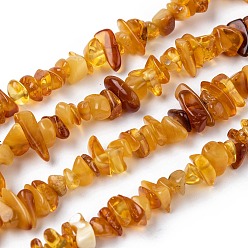 Amber Natural Amber Chip Beads Strands, 5~14x4~10mm, Hole: 1mm, about 15.5 inch~16.1 inch
