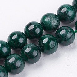 Malachite Natural Malachite Gemstone Beads Strands, Round, Green, 11mm, Hole: 1mm, 16pcs/strand, 8 inch