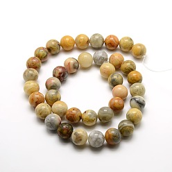 Agate Crazy Lace Rondes folles naturelles perles en agate brins, 10mm, Trou: 1mm, Environ 39 pcs/chapelet, 15.7 pouce