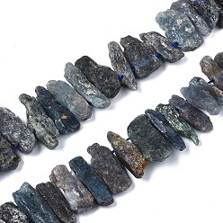 Cyanite Perles de quartz de cyanite naturelle / cyanite / disthène, nuggets, 20~60x5~15x5~15mm, Trou: 1mm, Environ 49 pcs/chapelet, 15.7 pouce