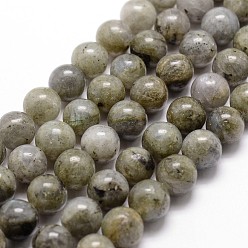 Labradorite Labradorite naturelle rangées de perles, ronde, 8mm, Trou: 1mm, Environ 44 pcs/chapelet, 14.9 pouces ~ 15.1 pouces