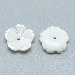 Seashell Color Freshwater Shell Beads, Flower, Seashell Color, 11~12x12x3mm, Hole: 1mm