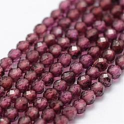 Purple Natural Garnet Beads Strands, Faceted, Round, Purple, 2mm, Hole: 0.5mm, about 175pcs/strand, 14.9 inch(38cm)