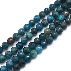 Apatite Natural Apatite Beads Strands, Round, 8mm, Hole: 0.8mm, about 50pcs/strand, 15.7 inch(40cm)