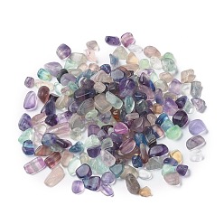 Fluorite Natural Fluorite Beads, No Hole/Undrilled, Nuggets, Tumbled Stone, Vase Filler Gems, 6~16x6~10x3~8mm, about 1000pcs/1000g