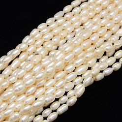 Creamy White Natural Cultured Freshwater Pearl Beads Strands, Rice, Creamy White, 6~7mm, Hole: 0.8mm, about 38pcs/strand, 13.77 inch~14.17 inch