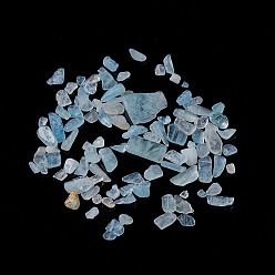 Aquamarine Natural Aquamarine Chip Beads, No Hole/Undrilled, 2~12x2~10x1~3mm