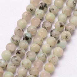 Jaspe Sésame Jaspe de sésame naturel / brins de perles de jaspe kiwi, ronde, 3~3.5mm, Trou: 0.7mm, Environ 115~125 pcs/chapelet, 16 pouce