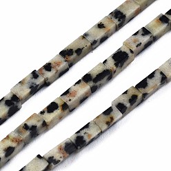 Dalmatian Jasper Natural Dalmatian Jasper Beads Strands, Cuboid, 4~5x2x2mm, Hole: 0.8mm, about 82~84pcs/strand, 14.76~15.15 inch(37.5~38.5cm)