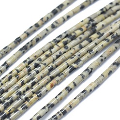 Далматинских Джаспер Природные яшмы далматин бисер нитей, колонка, 4~5x2~2.5 мм, отверстие : 0.6~0.8 мм, около 90~102 шт / нитка, 15.3~15.7 дюйм (39~40 см)