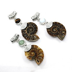 Pierre Mélangete Gemstone grands pendentifs, avec les accessoires en alliage et fossiles, escargot, de couleur métal platine , 58~78x29~35x8~9mm, Trou: 4x6mm