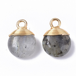 Labradorite Natural Labradorite Pendants, with Golden Tone Brass Wires and Iron Loops, Half Hole/Drilled, Flat Round, 14~15x10~11x5~6mm, Hole: 1.5~2mm