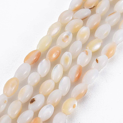 Linen Natural Freshwater Shell Beads Strands, Rice, Linen, 5x3mm, Hole: 0.9mm, about 83~85pcs/strand, 15.55 inch~15.75 inch(39.5~40cm)