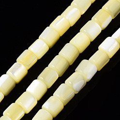 Yellow Natural Trochid Shell/Trochus Shell Bead Strands, Dyed, Column, Yellow, 3.5x3.5mm, Hole: 1mm, about 111~117pcs/strand, 15.35 inch~15.94 inch(39~40.5cm)