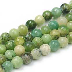 Serpentine Natural Serpentine Beads Strands, Round, 6mm, Hole: 1mm, about 63pcs/Strand, 14.96 inch(38cm)