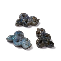 Labradorite Cabochon de labradorite naturelle, serpent, 34.5~35.5x52~53x12.5~14mm