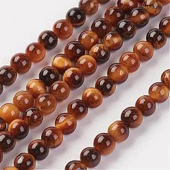 Tiger Eye Natural Tiger Eye Bead Strand, Grade AA, Round, 3mm, Hole: 0.8mm, about 127pcs/strand, 15.7 inch(40cm)