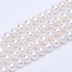 Floral White Natural Cultured Freshwater PearlBeads Strands, Round, Floral White, 4~4.5mm, Hole: 0.6~0.8mm, about 81~83pcs/strand, 14.45 inch~15.08 inch(36.7~38.3cm)
