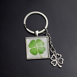 Platinum Luminous Alloy Glass Keychain, with Key Rings, Square with Clover, Platinum, 2.8x2.8cm, Ring: 30mm