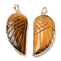Tiger Eye Natural Tiger Eye Pendants, Wing Charms, with Rack Plating Golden Plated Brass Edge, 39x18x7mm, Hole: 6x4mm