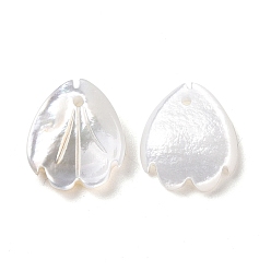 Color de la concha Encantos blancos naturales de la cáscara, petalo de flor, color de concha, 12~12.5x10.5x2~2.5 mm, agujero: 1 mm