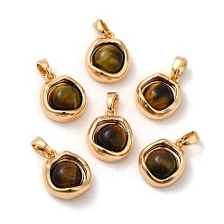 Tiger Eye Natural Tiger Eye Brass Flat Round Charms, Real 18K Gold Plated, 14x11.5x6mm, Hole: 4x3mm