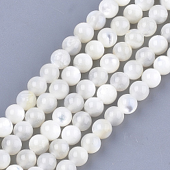 Creamy White Natural White Shell Beads, Mother of Pearl Shell Beads Strands, Round, Ivory, 5mm, Hole: 1mm, about 75pcs/strand, 14.9 inch
