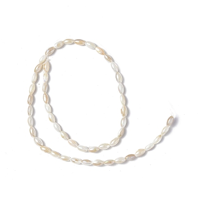 Natural Freshwater Shell Beads Strands, AB Color Plated, Oval