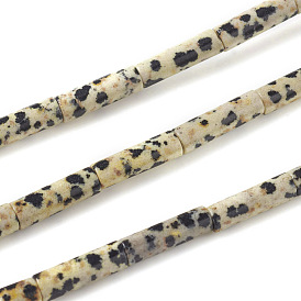 Natural Dalmatian Jasper Beads Strands, Column