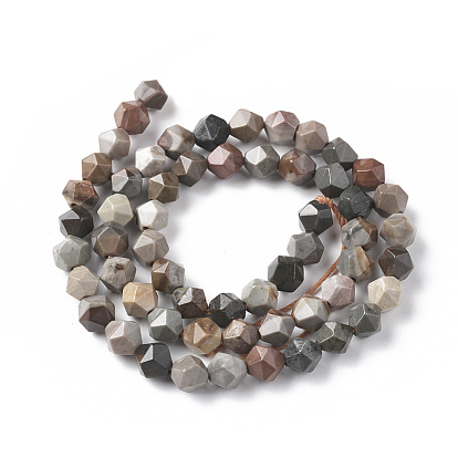 Natural Ocean Jasper Beads Strands, Star Cut Round Beads, Faceted