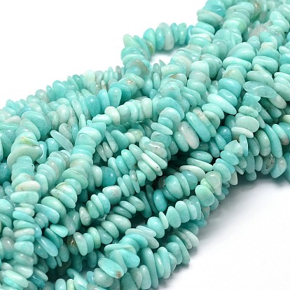 Amazonite naturelle perles de puce brins, 5~14x4~10mm, Trou: 1mm, environ 15.5 pouces ~16.1 pouces