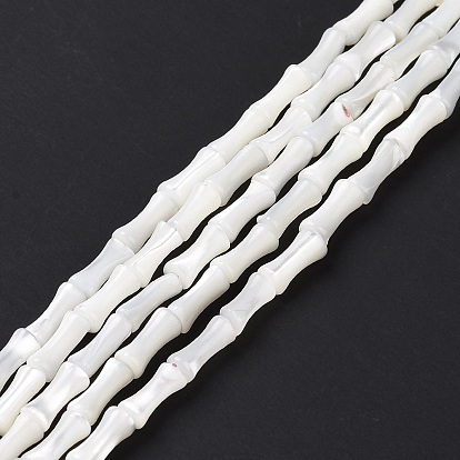 Natural Trochus Shell Beads Strands, Bamboo Stick