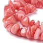 Natural Freshwater Shell Beads Strands, Chip, Dyed